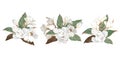 THREE BOUQUETS OF FLOWERING WHITE MAGNOLIA,WHITE FLOWERS,WEDDING FLORIST, Royalty Free Stock Photo